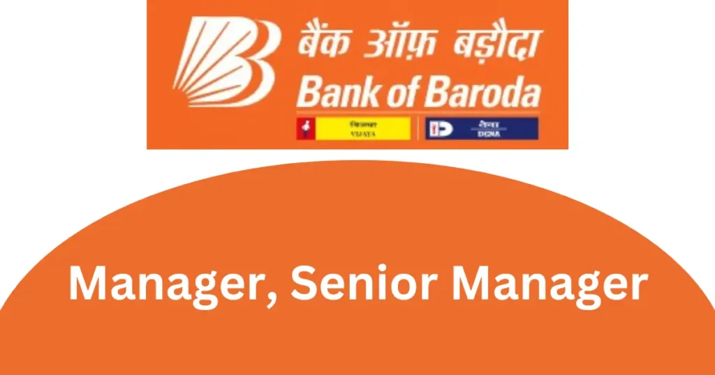 BOB Manager Senior Manager Recruitment